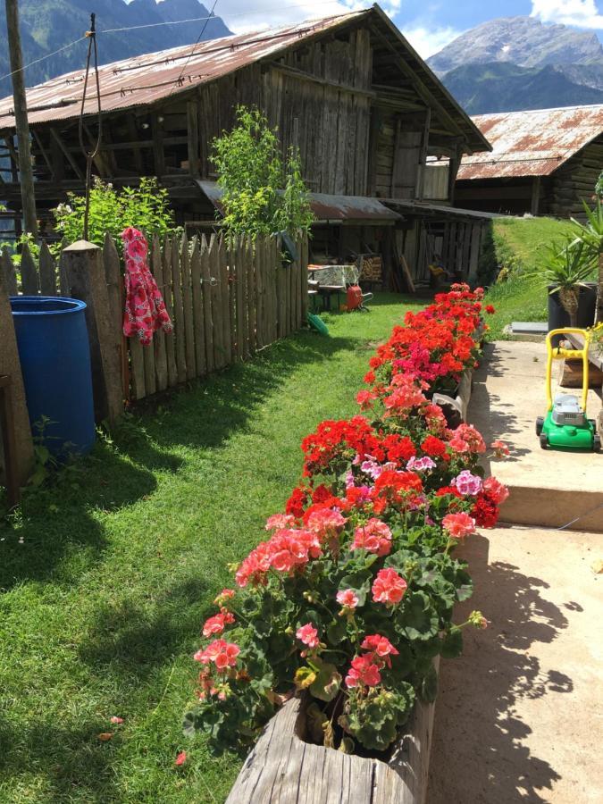 Casa Soraya Apartment Falcade Ngoại thất bức ảnh
